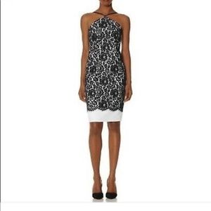 The Limited Scandal Lace Halter Dress sz 6 Tall